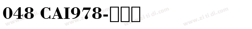 048 CAI978字体转换